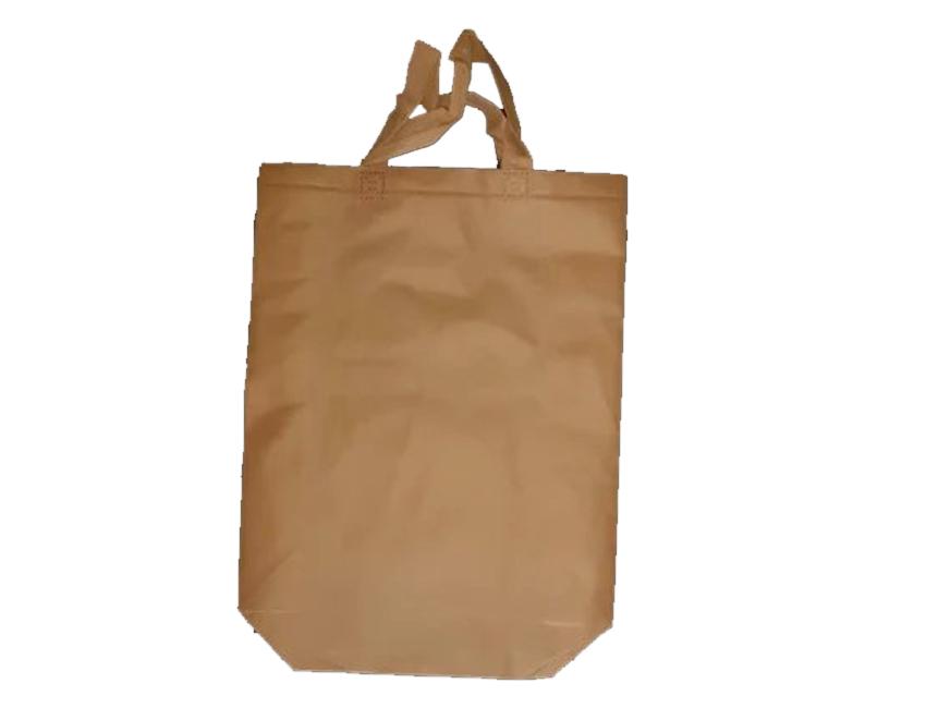 LBT_1_c-Non-Woven-Plain-Carry-Bags-001