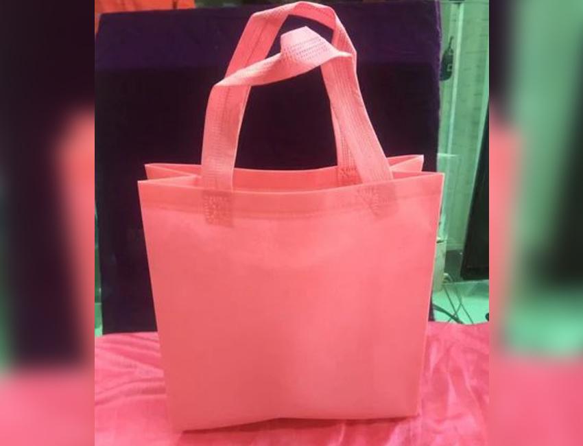 LBT_7_a-Non-Woven-Fabric-Bags-005